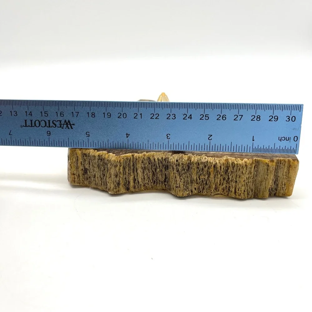 Vintage Petrified Wood Pen Holder with Gold Tone‎ Nib Holder Desk Accessory